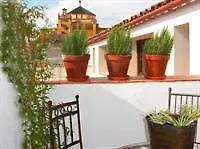 Apartamento Patios De La Juderia