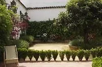 Patios De La Juderia Córdoba